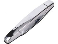 GM 84053448 Handle, Outside, Driver Side