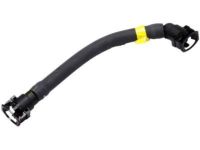 GM 20934060 Hose, Early Fuel Evaporation