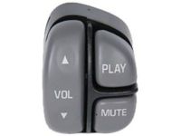 GM 12451301 Control Switch, Passenger Side