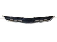 GM 84061035 Upper Grille, Front