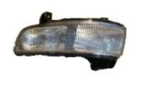GM 25797624 Fog Lamp Assembly, Front Passenger Side