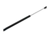 GM 15861910 Lift Cylinder