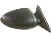 GM 10319955 Headlamp Door, Passenger Side