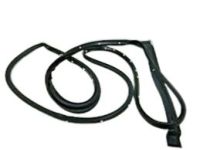 GM 23286283 Door Weatherstrip, Driver Side