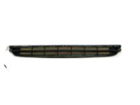 GM 20982391 Lower Grille