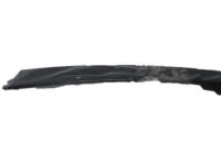 GM 21172100 Applique, Passenger Side