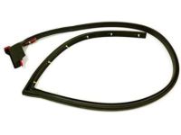 GM 15821952 Lower Weatherstrip, Passenger Side
