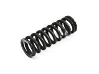 GM 20361482 Hinge Spring, Front Lower
