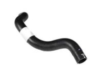 GM 23128470 Upper Hose