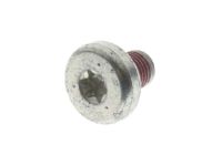GM 11611431 Buckle Bolt