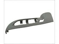 GM 20809935 Outer Finish Panel, Titanium, Driver Side