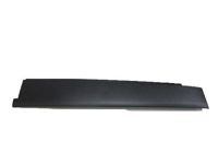 GM 20766575 Applique, Front Center Driver Side
