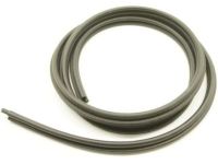 GM 15100041 Door Weatherstrip, Front