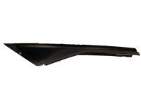 GM 22773105 Applique, Front Driver Side