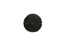 GM 20902359 Retainer, Wheelhouse, Black, Lower