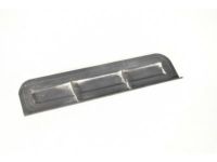 GM 10445316 Filter Cover