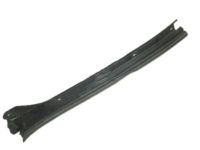 GM 20918020 Side Molding, Driver Side