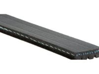 GM 12576446 Serpentine Belt