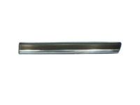 GM 15199292 Body Side Molding, Black Grained, Outer Driver Side