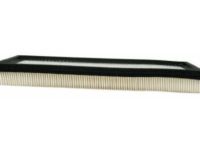 GM 25042562 Air Filter