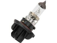 GM 13503418 Headlamp Bulb
