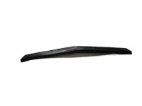 GM 23193508 Molding