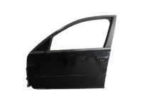 GM 19178063 Door Shell, Front Driver Side