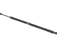 GM 84237648 Lift Cylinder, Passenger Side