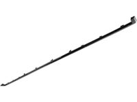 GM 23224609 Lower Molding