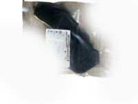 GM 96624518 Side Seal