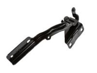 GM 19317757 Hinge, Passenger Side