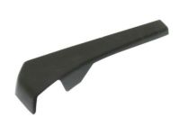 GM 84147824 Finish Panel, Black, Front