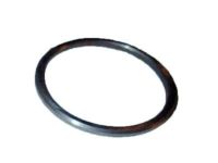 GM 9775809 Bearing Spacer
