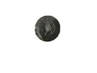 GM 20626295 Hinge Nut