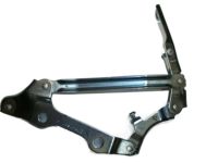 GM 25881405 Hinge, Rear Passenger Side
