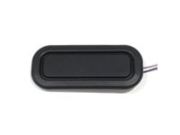 GM 22895519 Release Switch, Rear