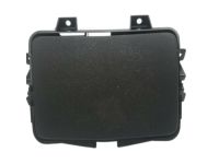 GM 23235346 Rear Compartment, Black