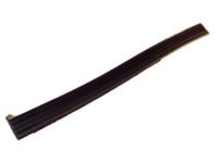 GM 15659178 Rear Molding, Outer Passenger Side