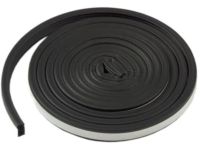 GM 15821953 Weatherstrip, Rear Door Opening