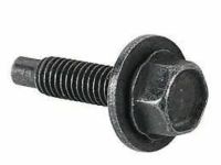 GM 11609989 Plate Screw
