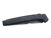 GM 15909802 Outer Molding, Passenger Side