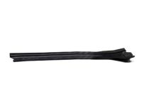 GM 20918021 Side Molding, Passenger Side
