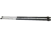 GM 10255661 Lift Cylinder, Rear Driver Side