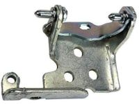 GM 15134975 Hinge, Driver Side