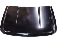 GM 20863101 Hood