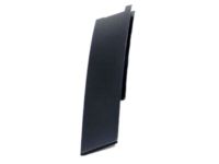 GM 20917056 Applique, Front Driver Side