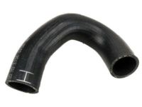 GM 96968500 Lower Hose
