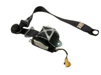 GM 19208827 Lap & Shoulder Belt, Rear