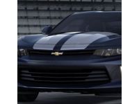 GM 84047846 Stripe Kit, Silver