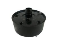GM 22816654 Trim Molding, Passenger Side, Carbon